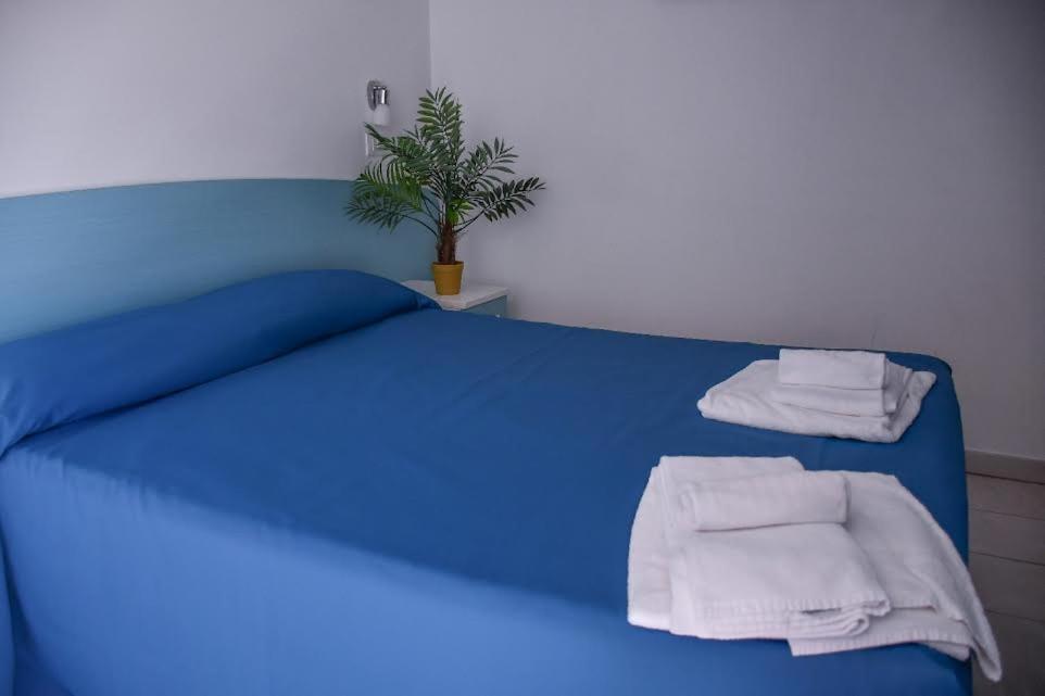 Vela Club Hotel & Appartamenti 로디가르가니코 외부 사진